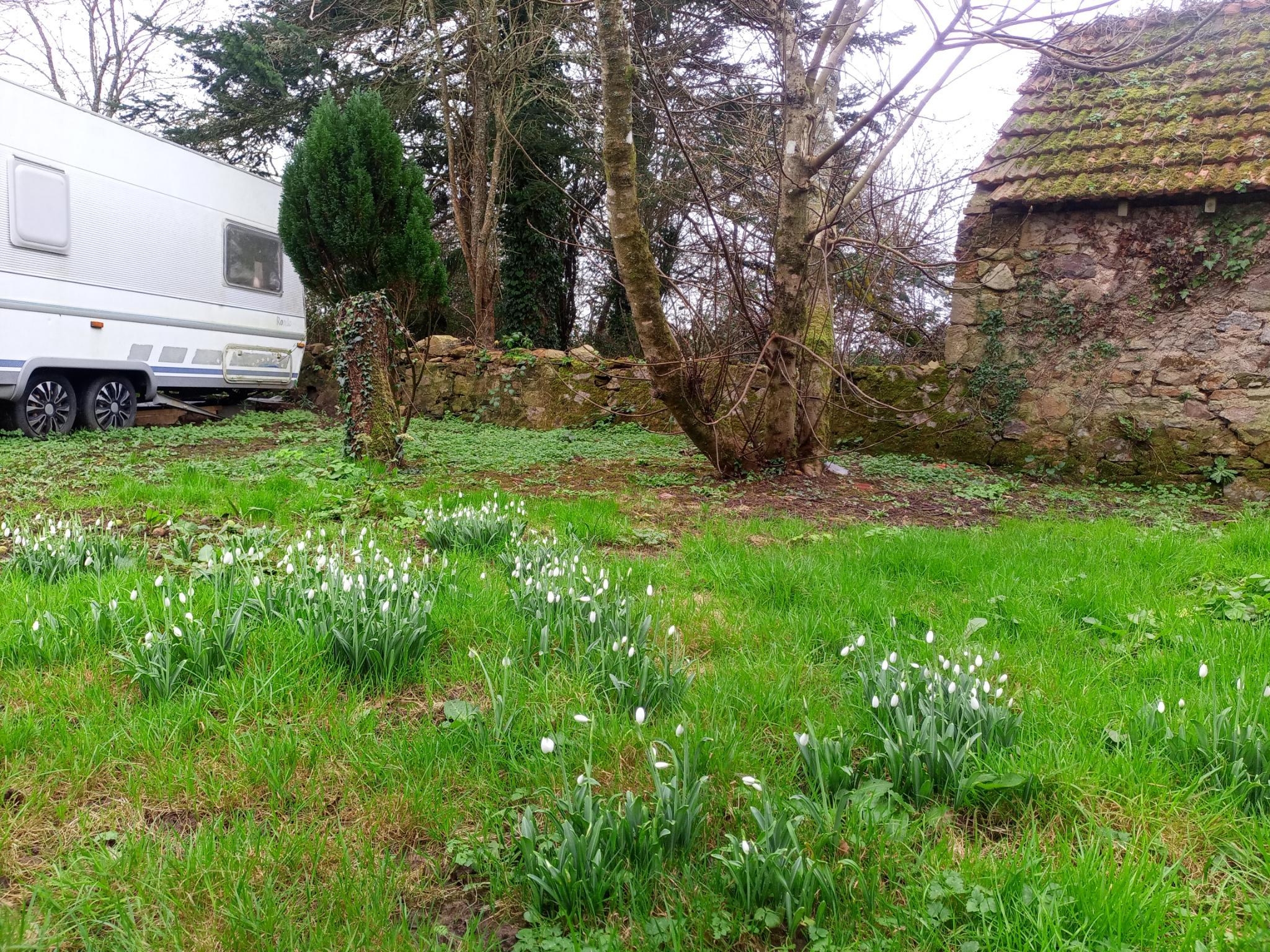 Spring comes early in Normandie!