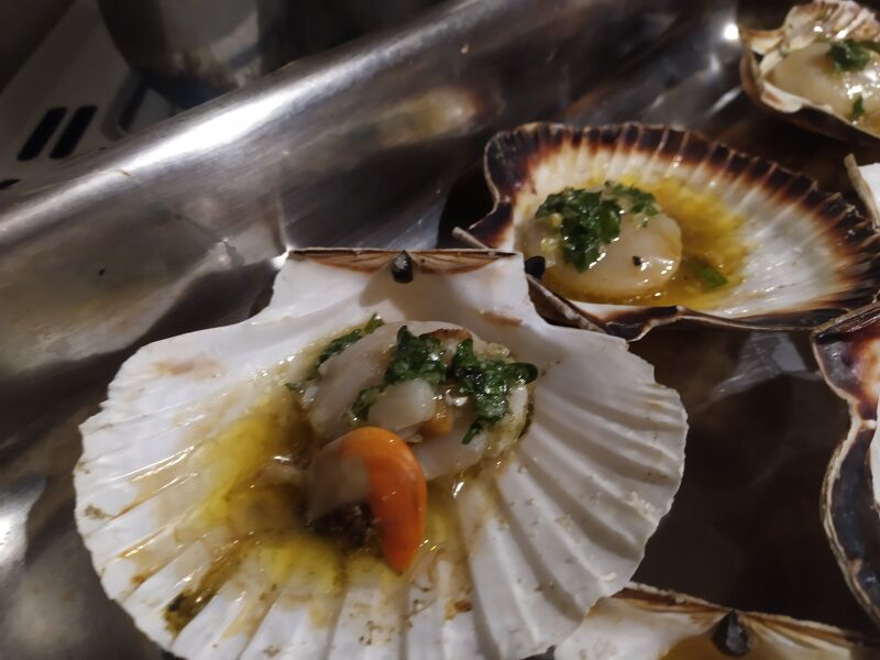 File:Coquilles st jacques ferme du vastel 1600 102025.jpg