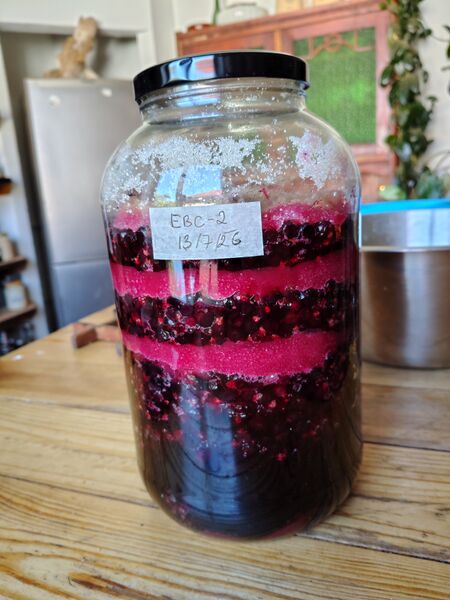 File:Sirup black currant 1600 072026.jpg