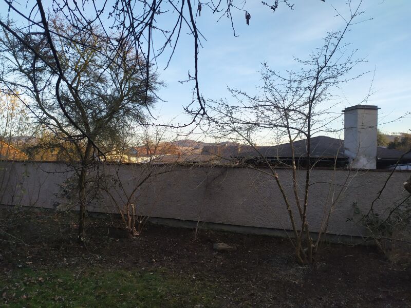 File:Garden cornus trimming 1600 fa032025.jpg