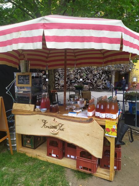 File:Kvasirna jara festival malych letajicich pivovaru cross club 1600 faa23052025.jpg