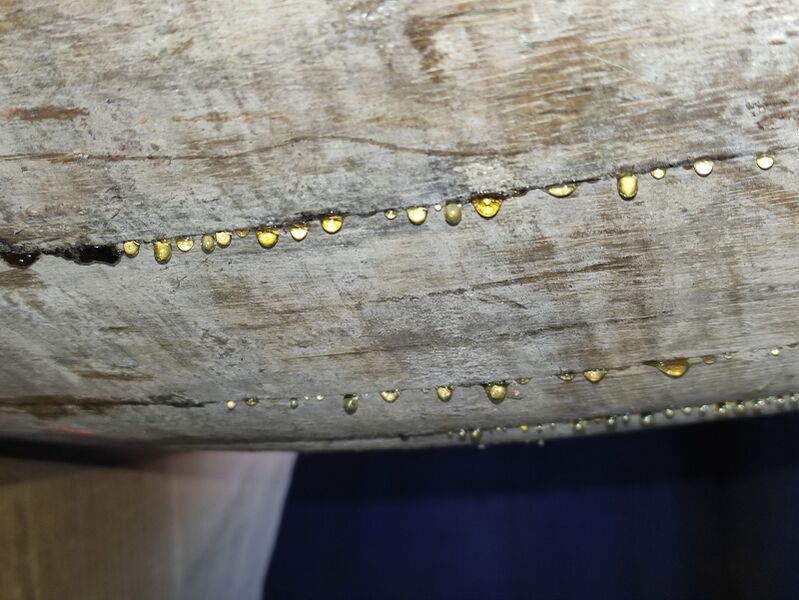 File:Tonneau cidre miele honey drops close up 1600 jb042023.jpg