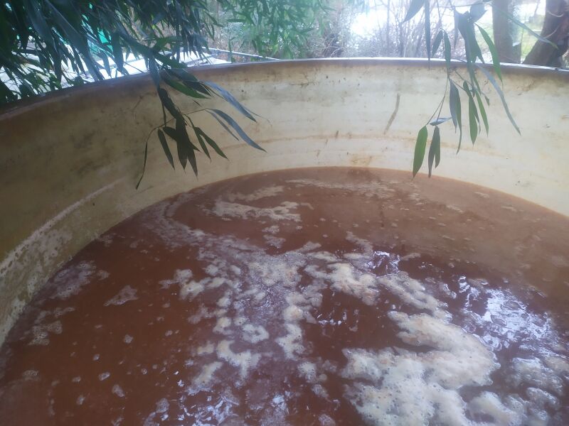 File:Cidre cuve 1600 022026.jpg